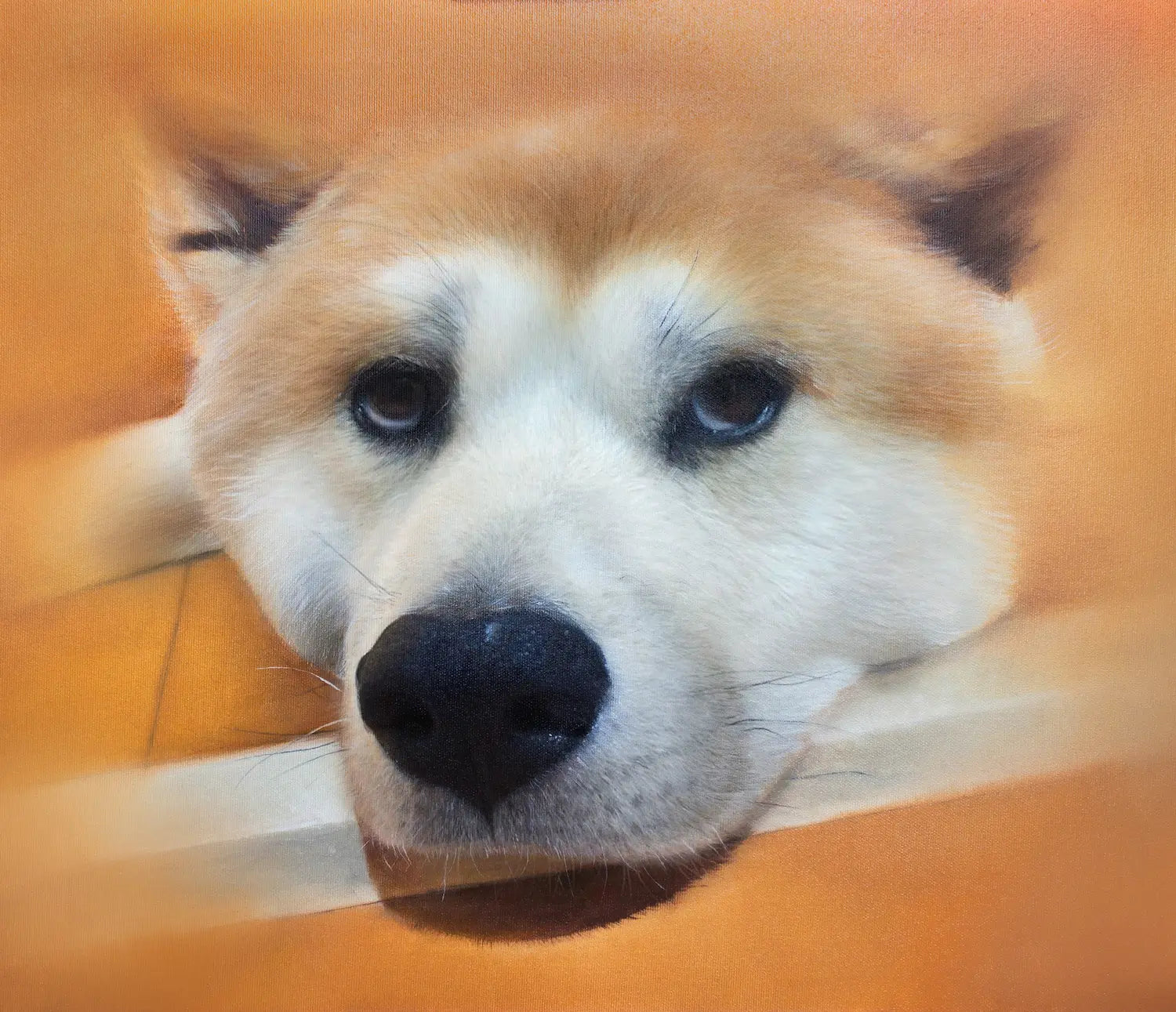 Shiba Inu dog oil portrait
