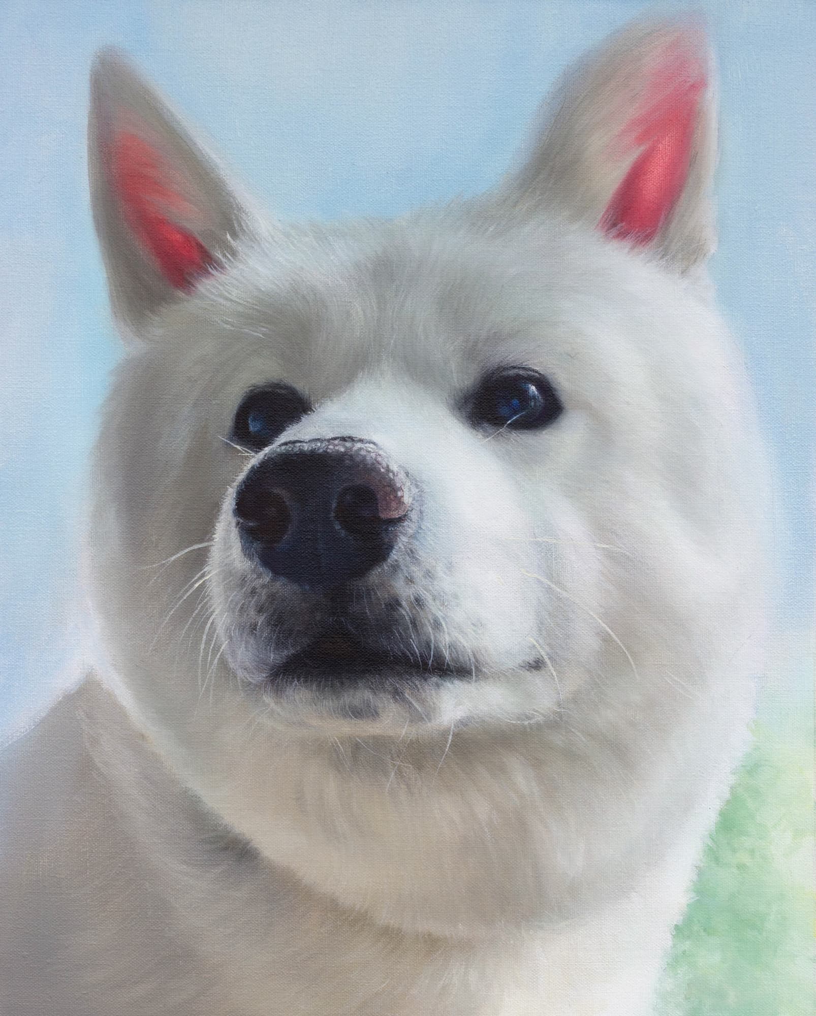 Custom dog portrait