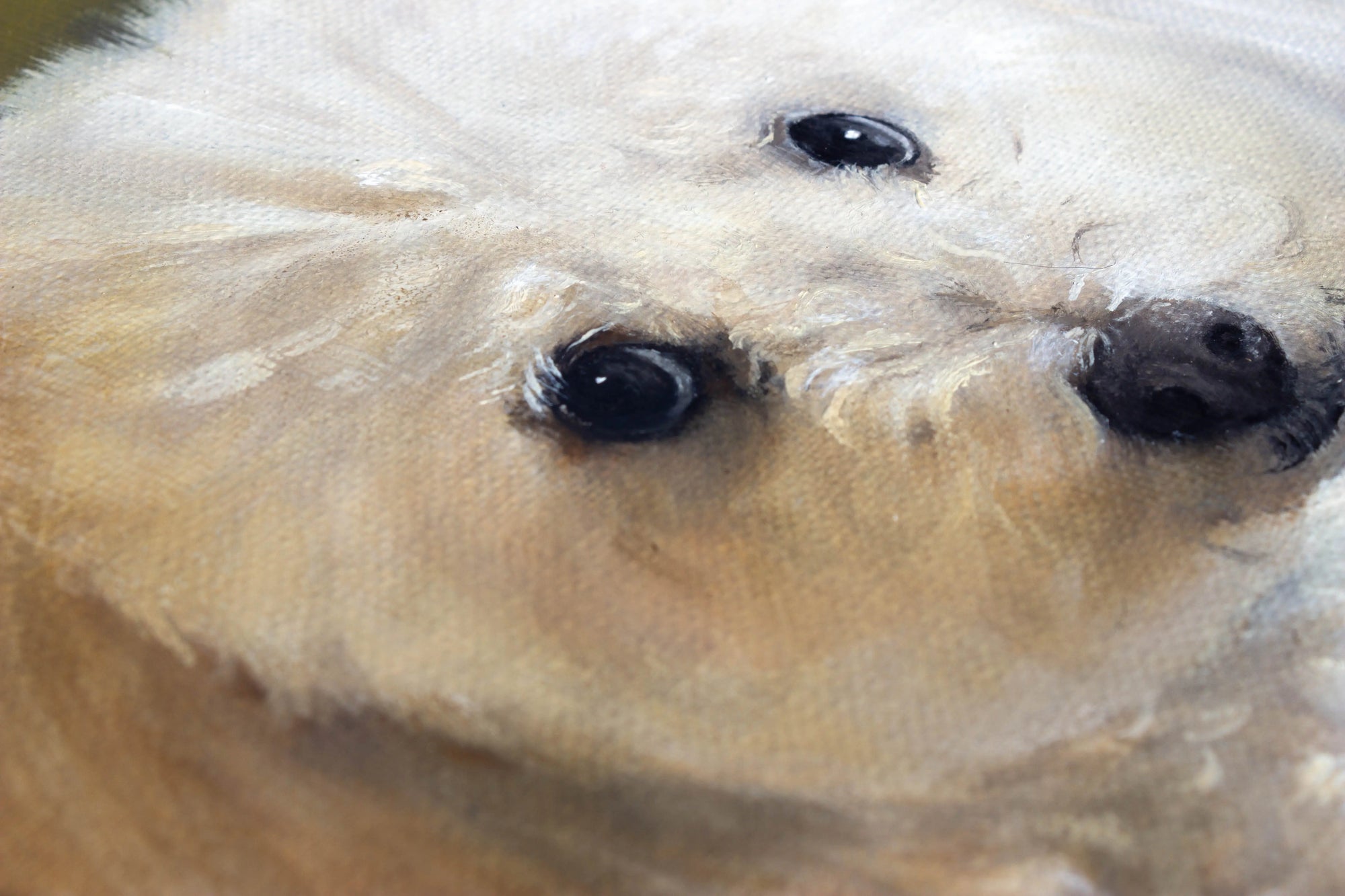 Dog oil portrait
