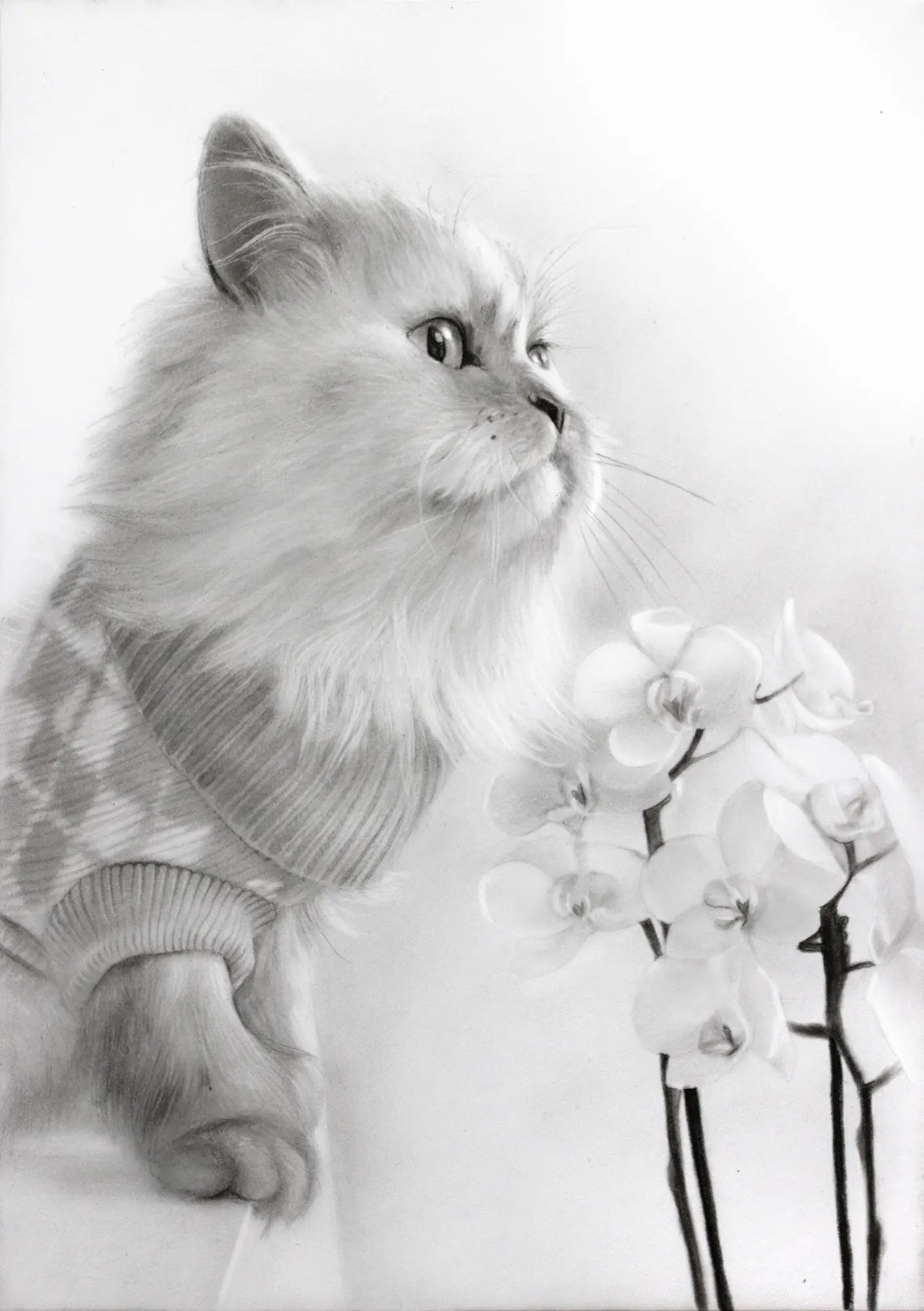 Hand drawn pet portrait