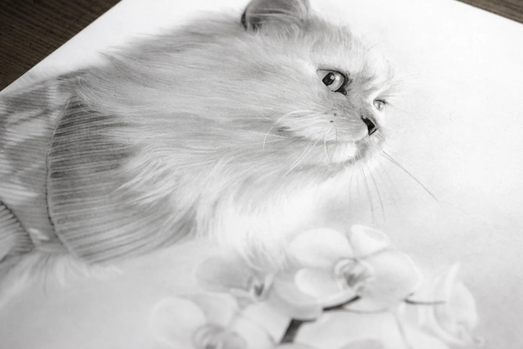 Hand drawn pet portrait